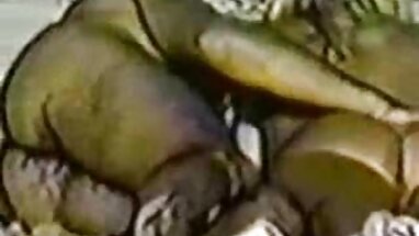 Kiểu chó châu âu thủ clip sex k che dâm